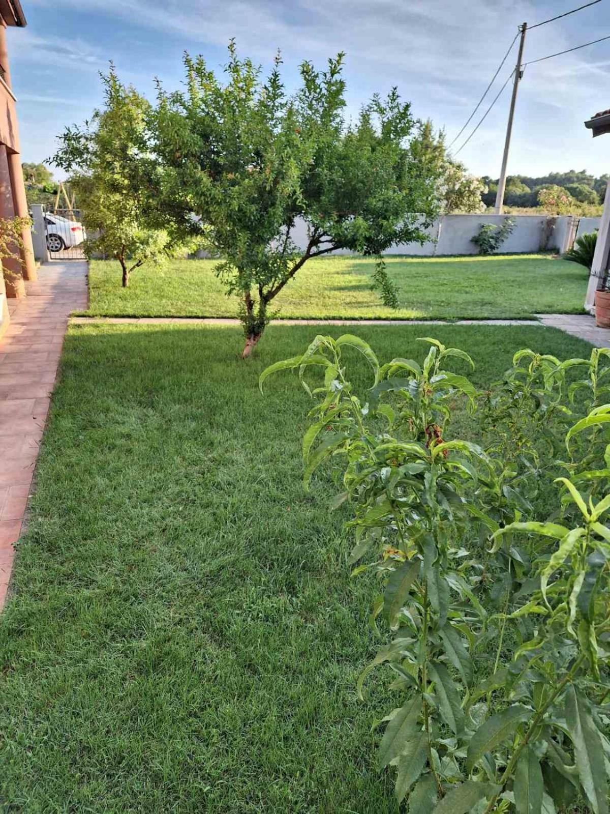 Apartments Ines Пула Екстер'єр фото